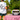 Pizza Lover Set 1 - Elektrische pizzaoven + accessoires + pizza T-shirt cadeau