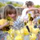Ibiza 2019: Apero glaasjes met mango en courgette door Sofie Dumont