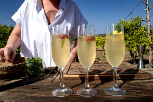 Sofie Dumont Ibiza 2019: Royal Koriander Martini fizz